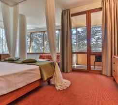Двухместный номер Deluxe двуспальная кровать в Отель Palanga Life Balance SPA