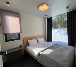 Стандарт в Телецкое Золотое