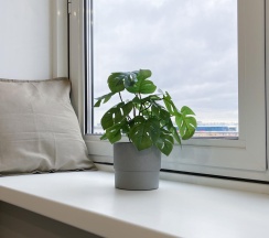 1-комнатные апартаменты студия в InHome24 (ИнХоум24) на улице Автозаводская 23 строение 120