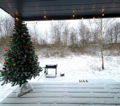 Дом в Moroshka Scandi