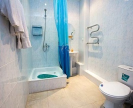 Номер стандарт с 1 двуспальной кроватью в Ника