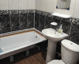 1-местный номер эконом в Онегин