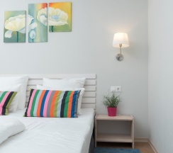 Номер стандарт с 1 двуспальной кроватью в Loyal Guest House