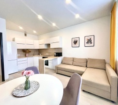 3-комнатные апартаменты улучшенные студенческая 80 в DreamHouse