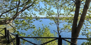 Янтарный: Турбаза Кусто