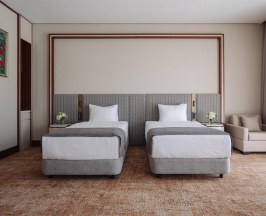 Номер делюкс Элегант с 2 односпальными кроватями в Источник