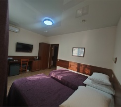 Стандарт TWIN улучшенный в Грин парк