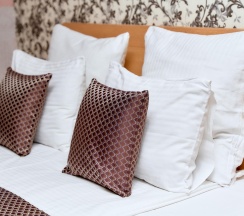 Номер люкс в Пантера