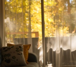 Коттедж "ASPEN HOUSE" одноэтажный на 4-5 человек в Осиновый Дом