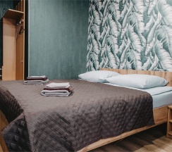 Двухместный с двухспальной кроватью в Silva