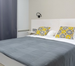 Двухместный номер стандарт с одной кроватью в Nordic Rooms