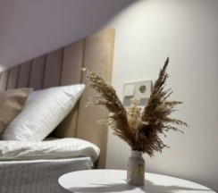 Deluxe 2K в Вега