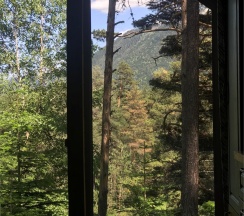 Шале 5. Четырёхместный номер комфорт с видом на горы в Белый волк