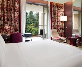 Номер Swiss Advantage, с видом на парк - с двуспальной кроватью в Swissotel Resort Сочи Камелия