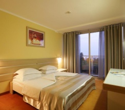 Двухместный номер с балконом двуспальная кровать в Hotel Tara