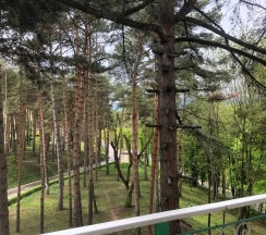 Люкс с красивым видом из окна в Надежда