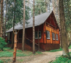 Коттедж Люкс «Saturn» с камином и Банным Чаном в IstraCot&Spa