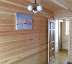 Коттедж стандарт в Васильевский дворик