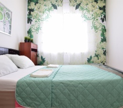 ▶ Euro Apartment ★ По Адресу: Александра Усольцева 12★ (СЕВЕРНЫЙ Р-ОН/ ТЦ АУРА) в Lion