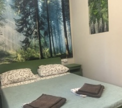 Улучшенный двухместный номер с 1 двуспальной кроватью или 2 отдельными кроватями в Синди