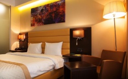 Двухместный номер Standard двуспальная кровать в Comfort Hotel Astana