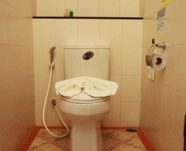 Двухместный номер Deluxe 2 отдельные кровати в The Orchid House