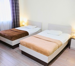 Двухместный с двумя раздельными кроватями в Арт Симбирск