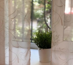 Standart room в Караванная 5