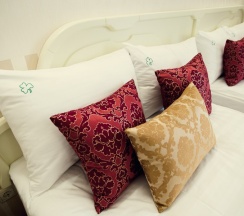 Двухместный номер DE LUXE в O`Hara