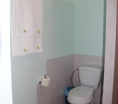 2-комнатный номер люкс семейный в Триумф