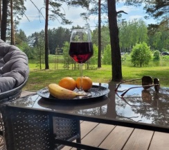 Дом № 1 в Vonavi Village