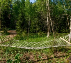 "Береза" в След Лося