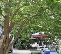 Двухместный номер Standard двуспальная кровать в Kemer Park Hotel