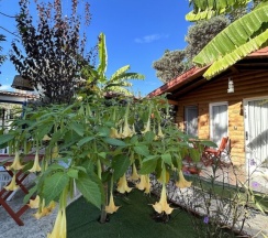 Двухместный номер Standard с балконом двуспальная кровать в Kayezta Hotel Alacati