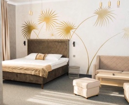 Номер полулюкс с 1 двуспальной кроватью в Spa hotel paradise
