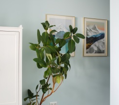 Alpen Sunrise в Апартаменты Dao dé Rooms