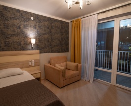 Одноместный номер (Главный корпус) Стандарт c 1 комнатой в Литфонд