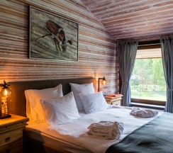 Мансарда №9 в Busel park hotel