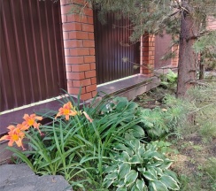 КОТТЕДЖ в Дарина-Абзаково