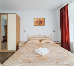 Видовая комната с эркером и балконом на Невский проспект в Октавиана