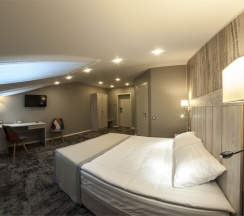 Double Standart Mansard в Scandinavia
