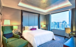 Одноместный люкс Executive двуспальная кровать в Radisson Blu Plaza Bangkok