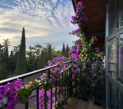 Трёхместный номер Супериор Плюс c 1 комнатой с балконом и с красивым видом из окна в Aimara