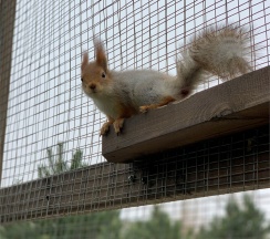 Business Double в Графский парк