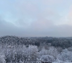 Желто-лимонный дом 4+2 на первой линии в Усадьба Пан Фазан