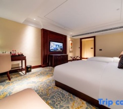Двухместный номер Executive 2 отдельные кровати в Phoenix Hotel