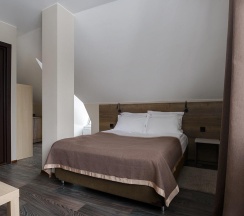 Номер стандарт с 1 двуспальной кроватью в Laska hotel