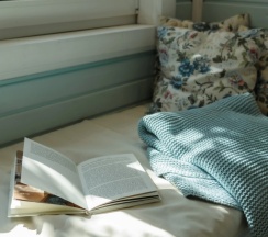 Коттедж с красивым видом из окна в Синяя синица