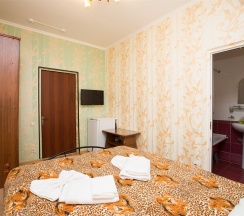 Двухместный номер c 1 двуспальной кроватью в Hotel-st