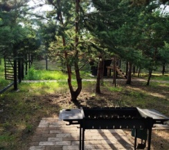 green haus в Magic Camp